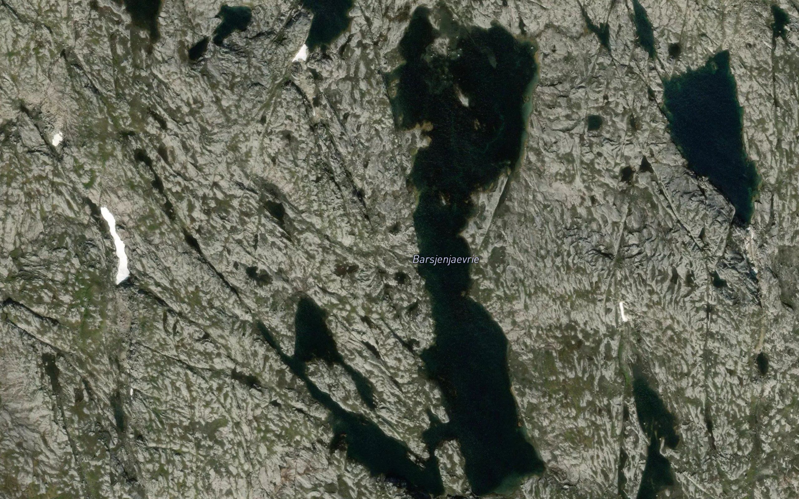 Barsjenjaevrie