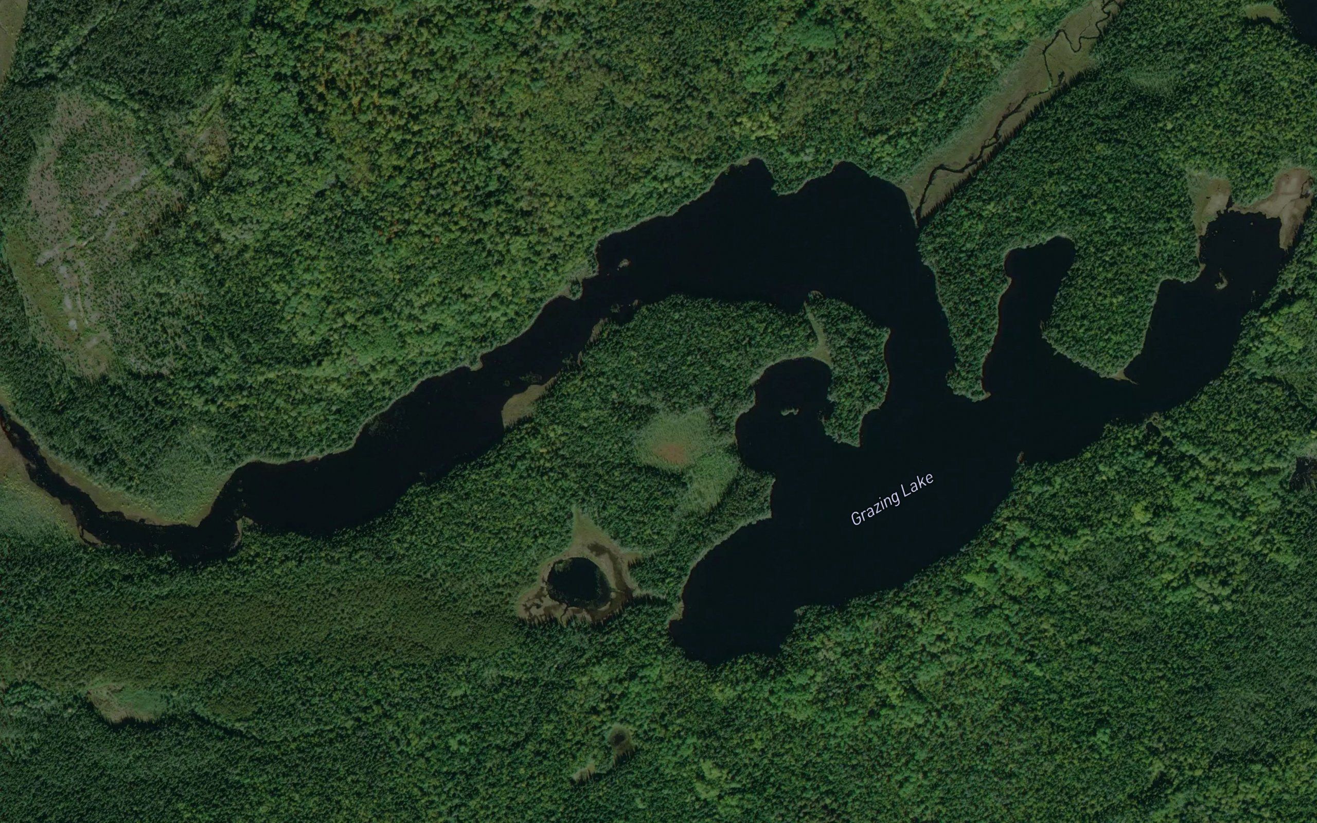 Grazing Lake
