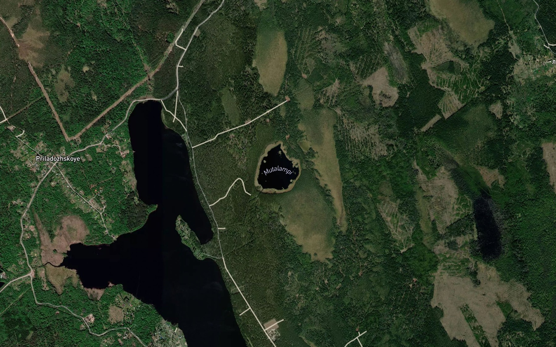 Satellite map of the Ozero Muta-Lampi