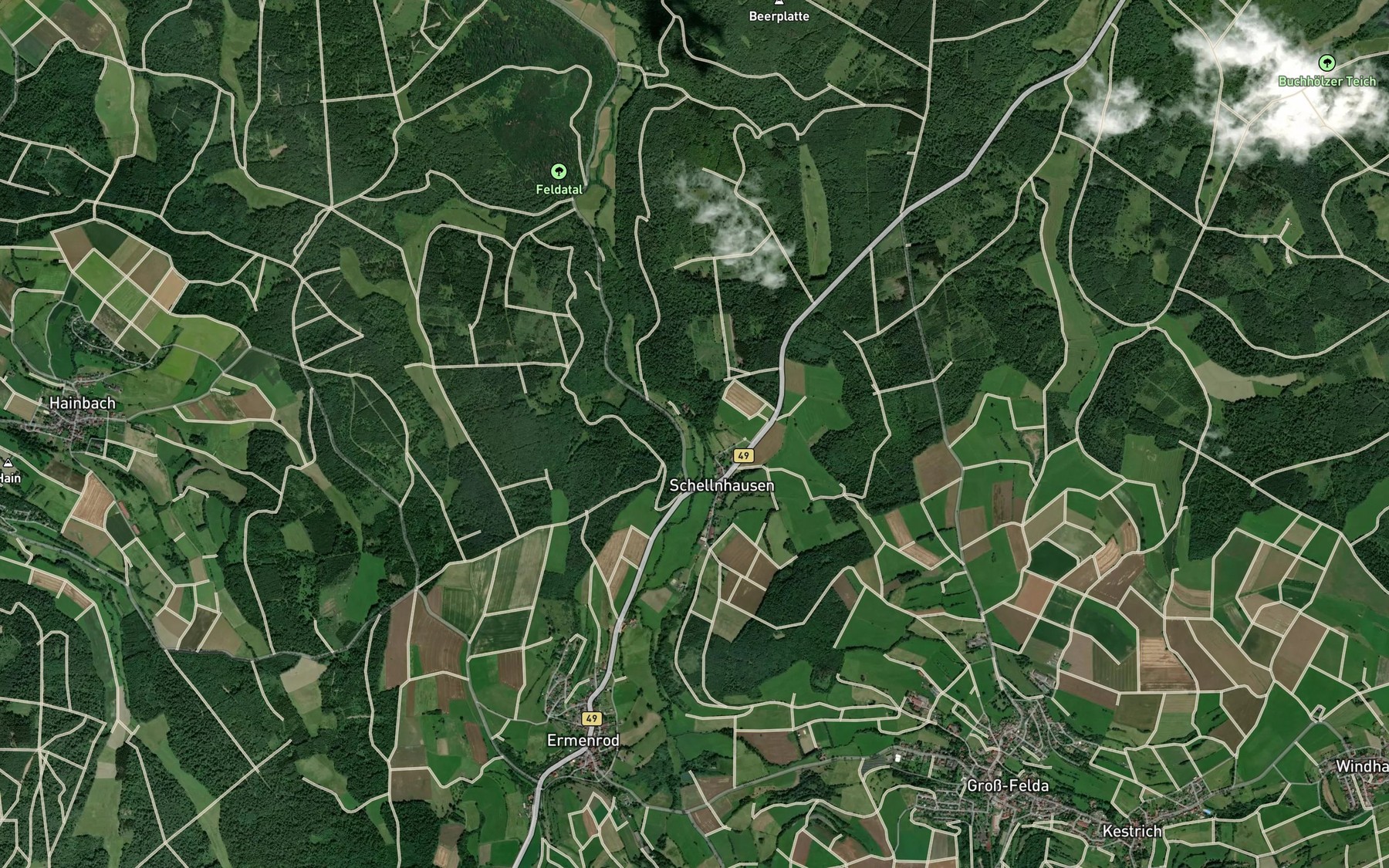 Satellite map of the Felda