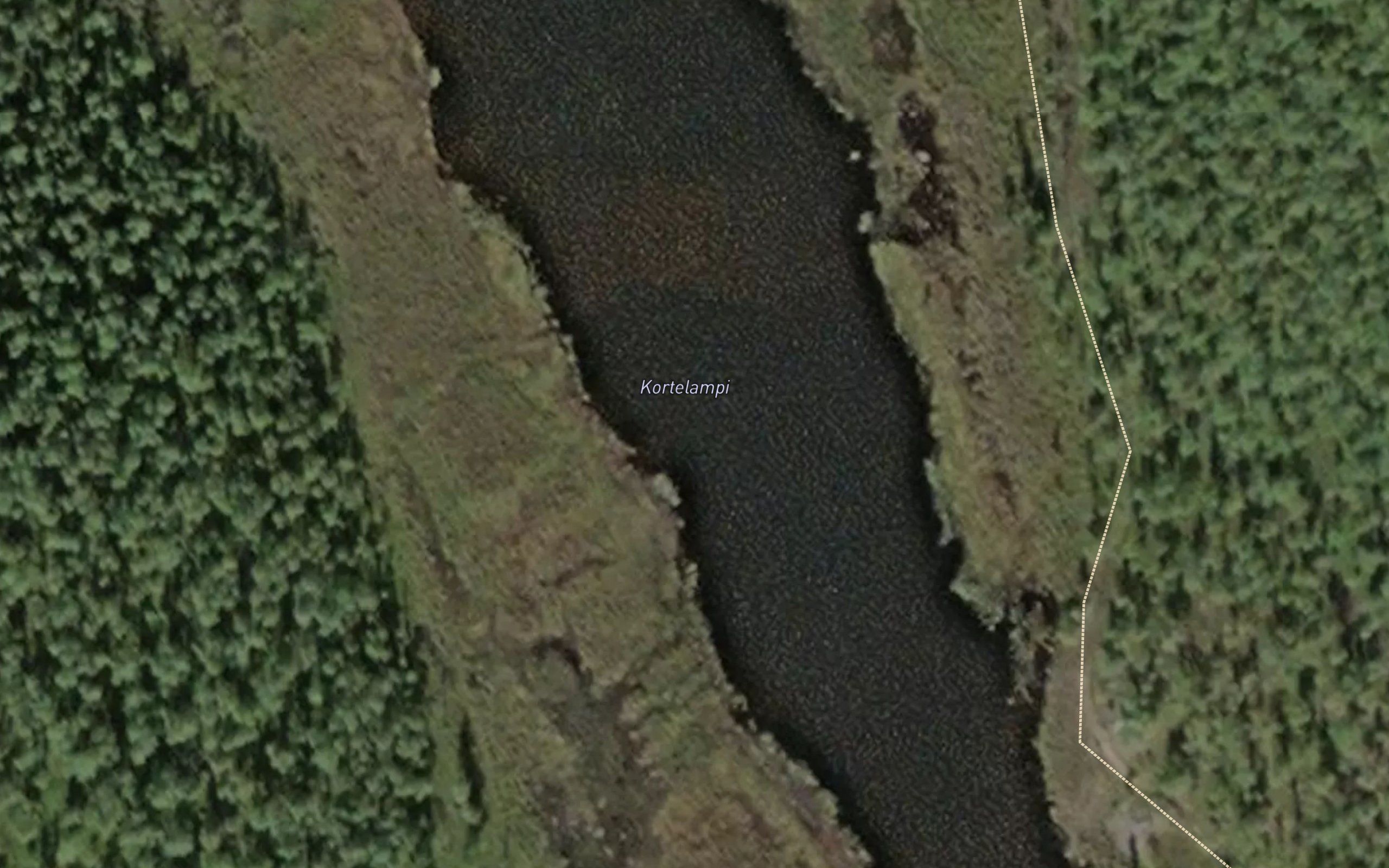 Kortelampi