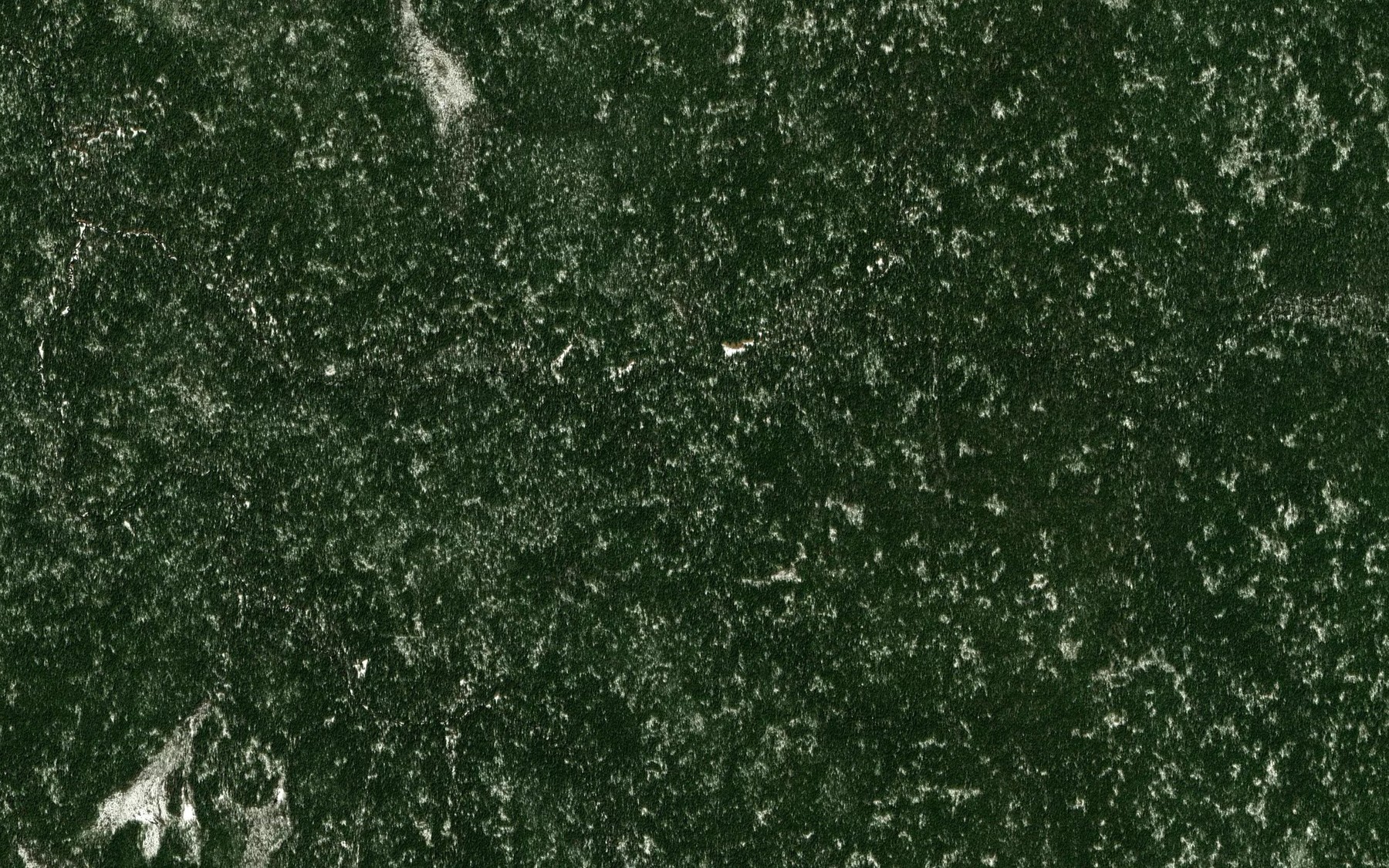 Satellite map of the Mokova
