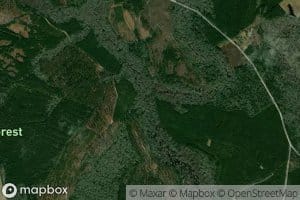Beaverdam Creek