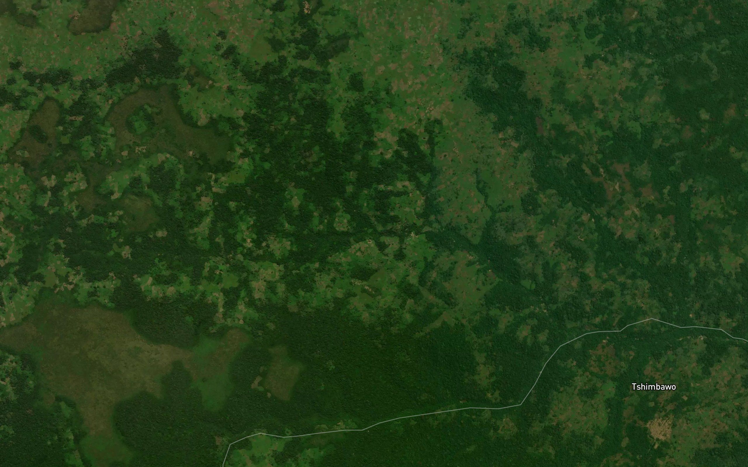 Lushimba