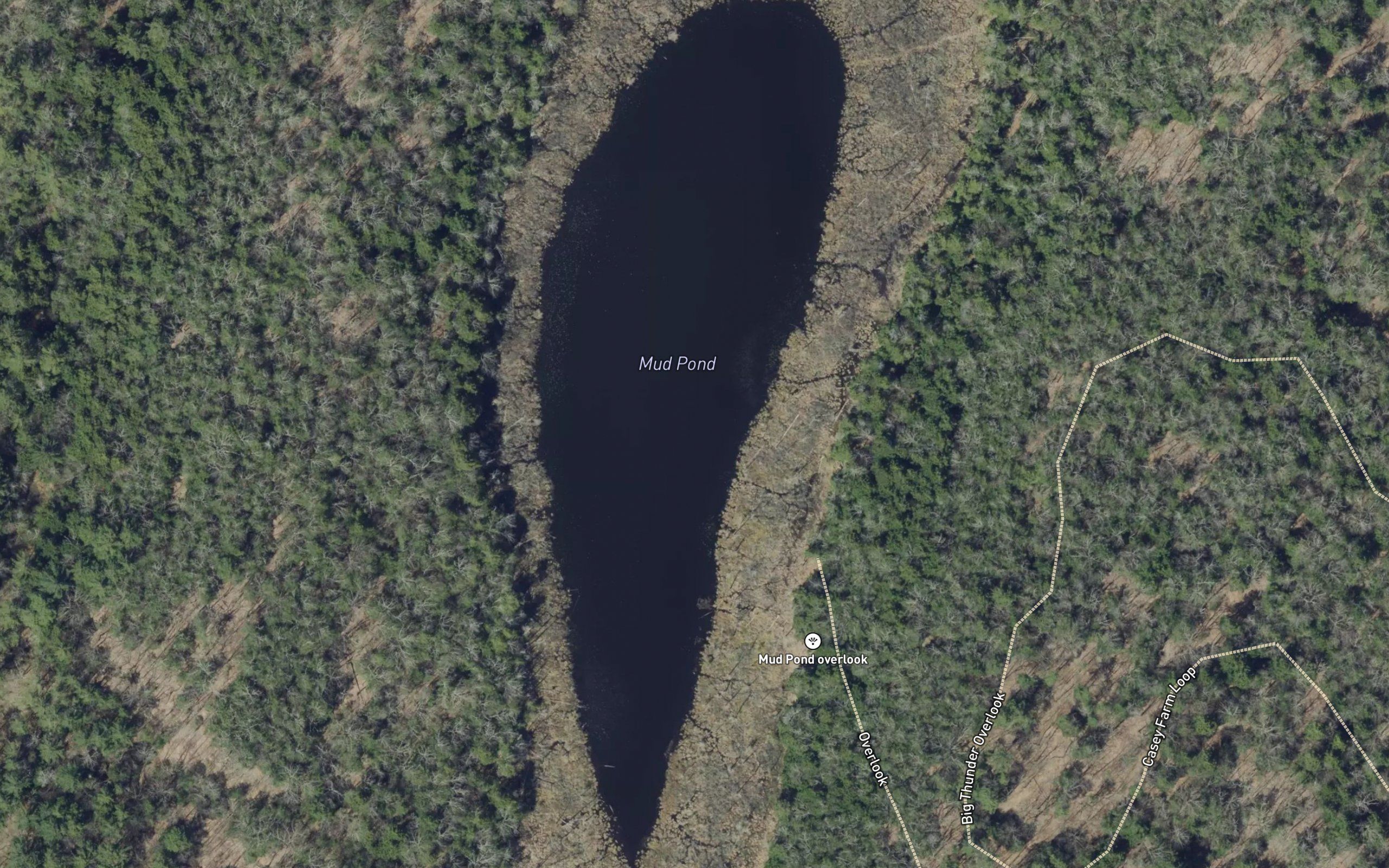 Mud Pond