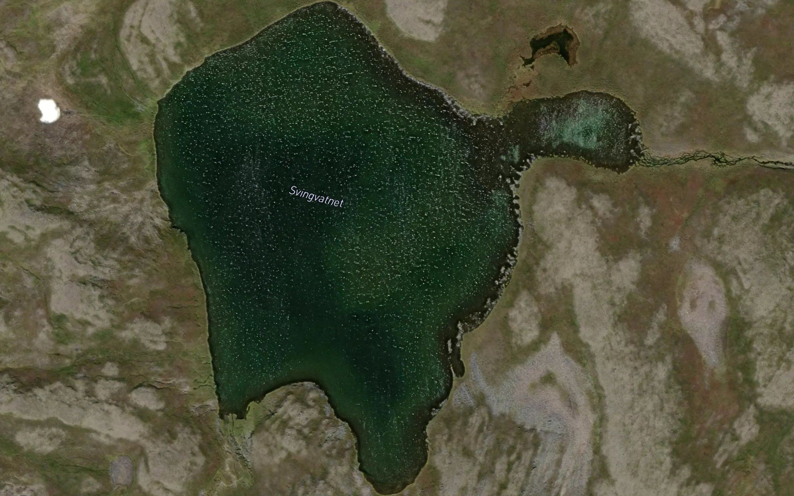 Svingvatnet