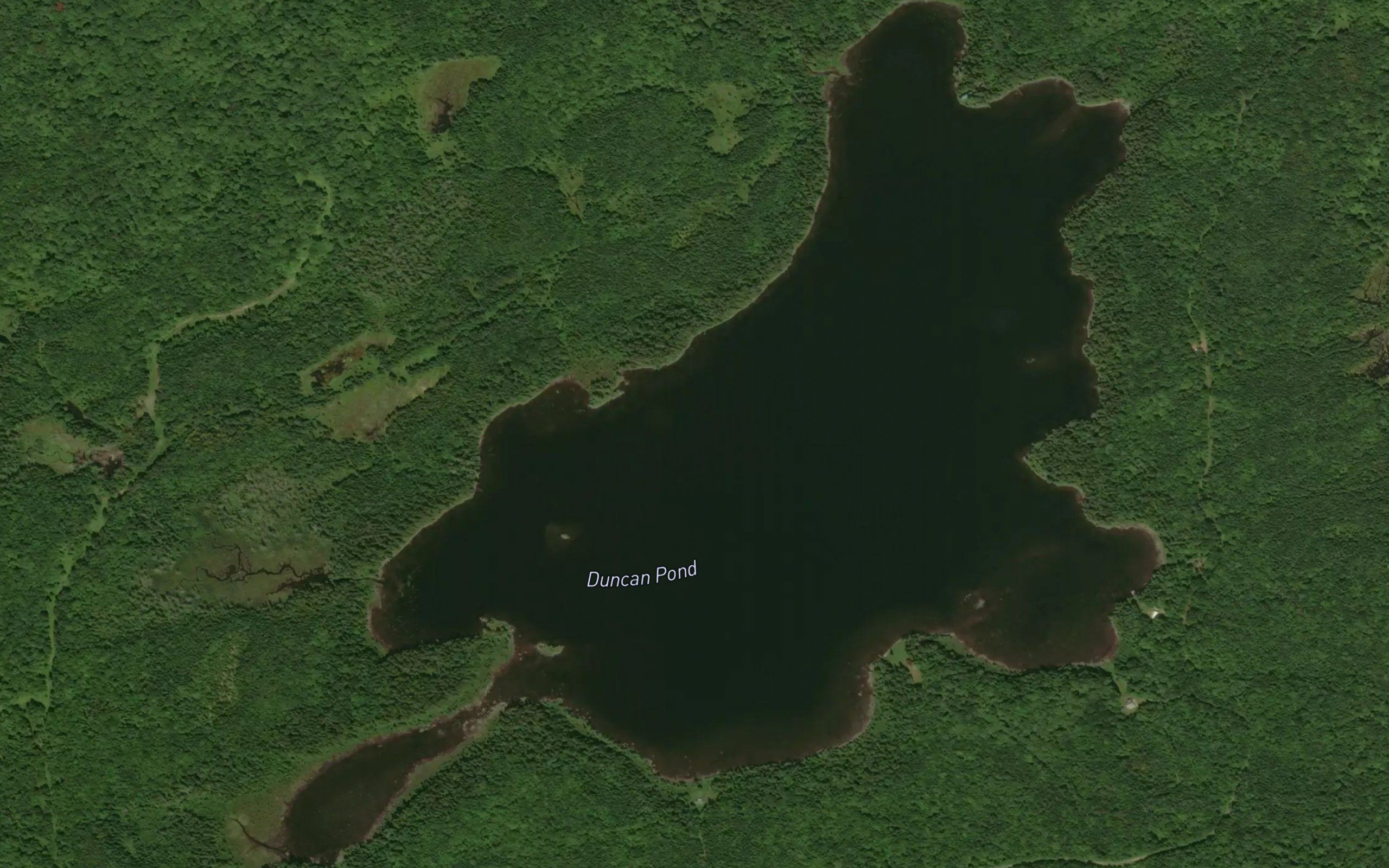 Duncan Pond