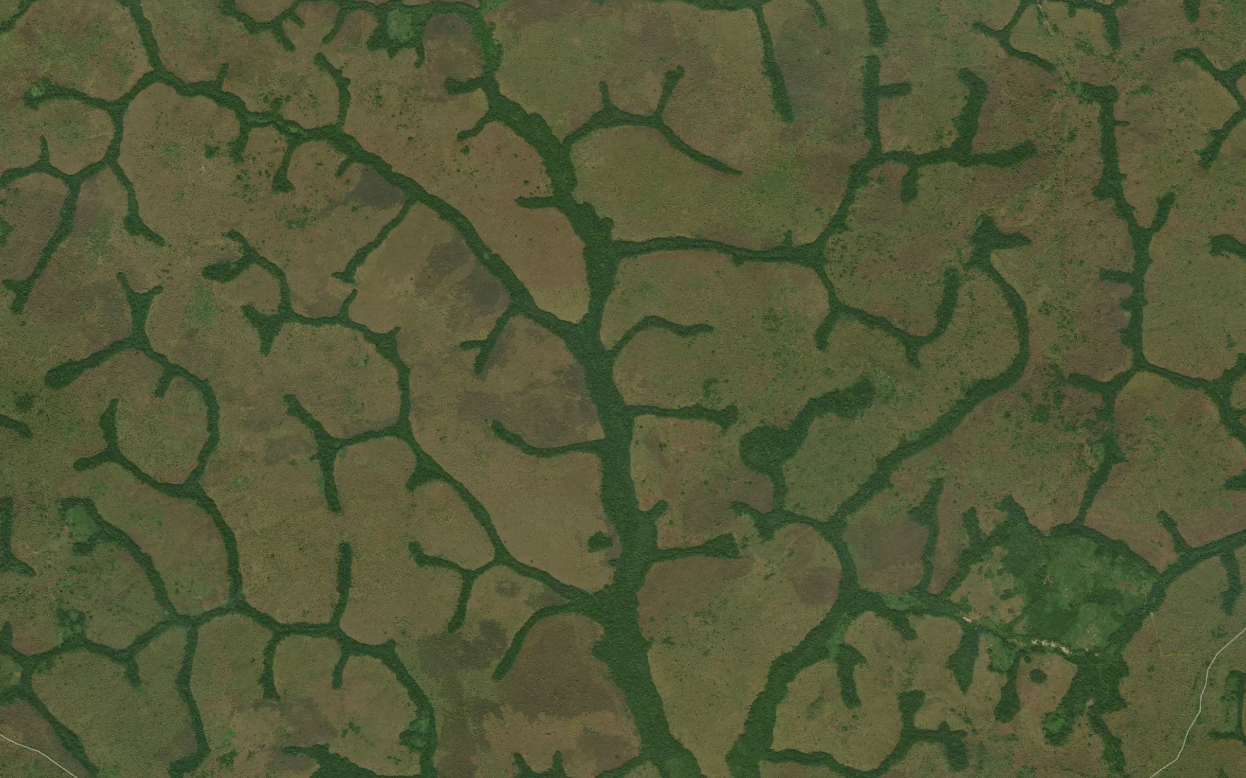 Goundouyeri