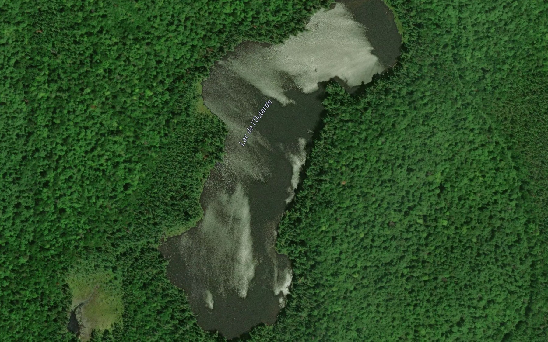 Satellite map of the Lac de l'Outarde