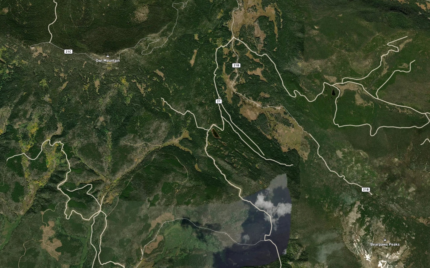 Satellite map of the Lily Lake