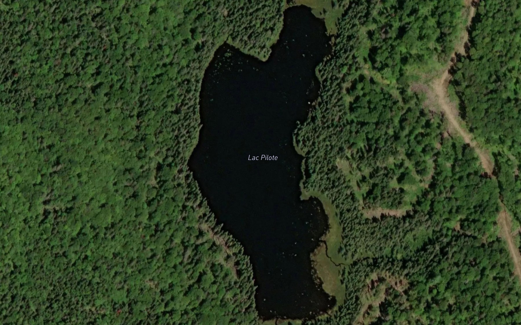Satellite map of the Lac Pilote