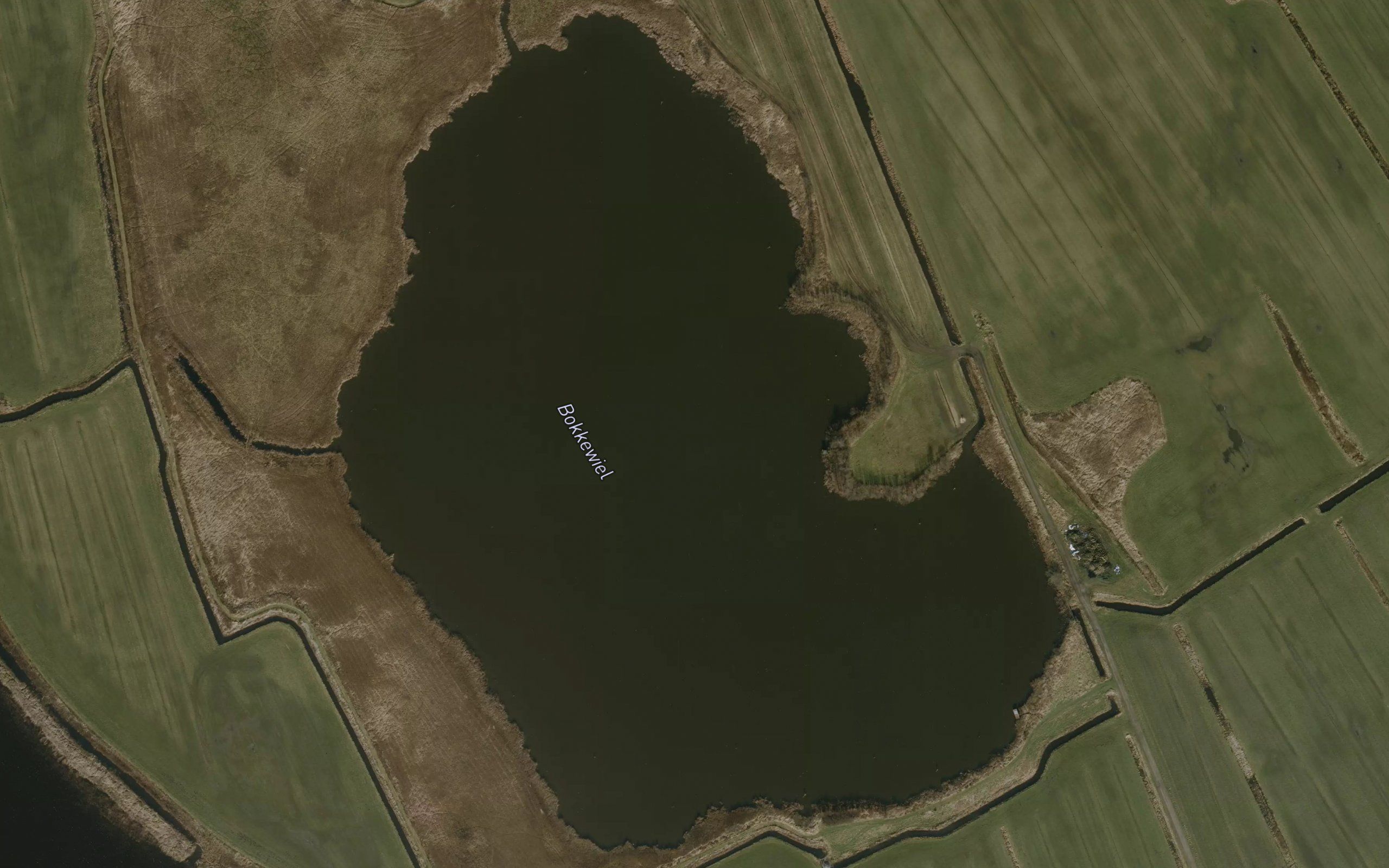 Bokkewiel