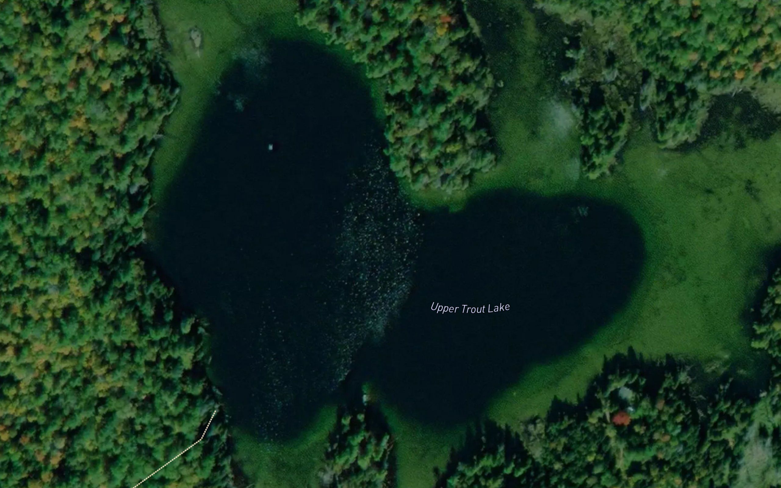 Upper Trout Lake