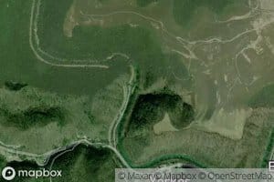 Fish Trap Branch