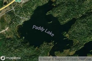 Paddy Lake