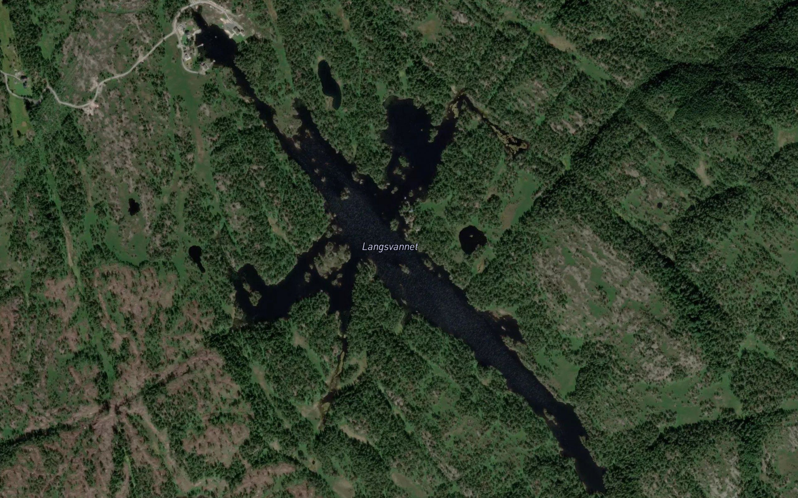 Langsvannet