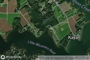 Bridgemans Back Creek