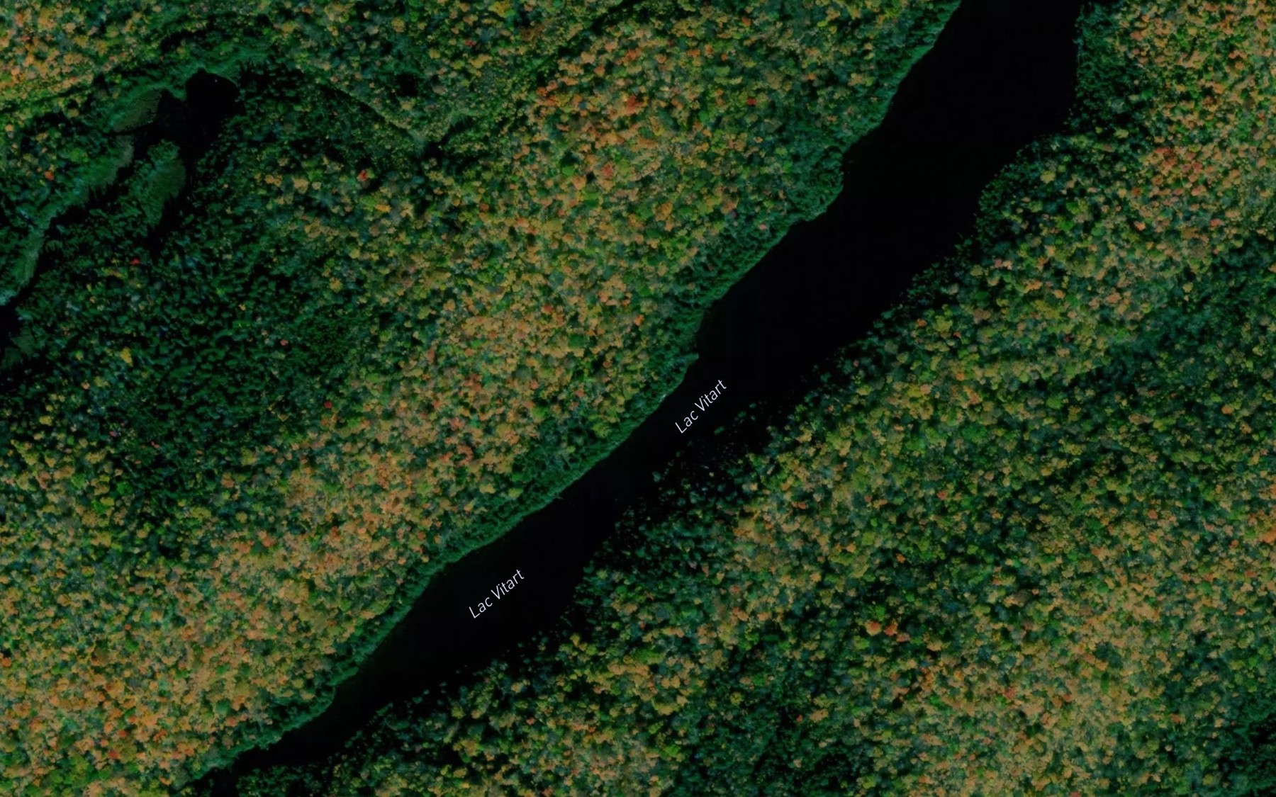Satellite map of the Lac Vitart
