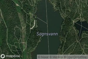 Sognsvann