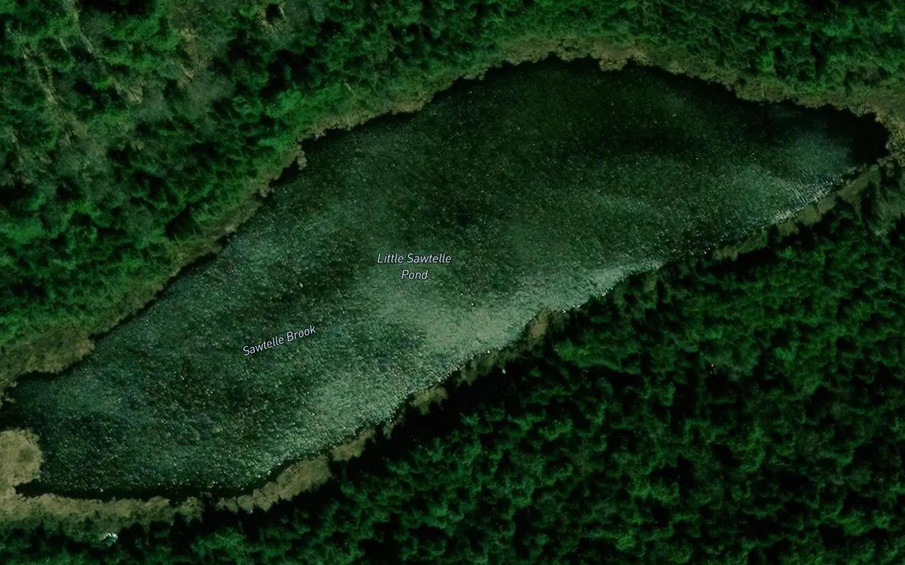 Satellite map of the Little Sawtelle Pond