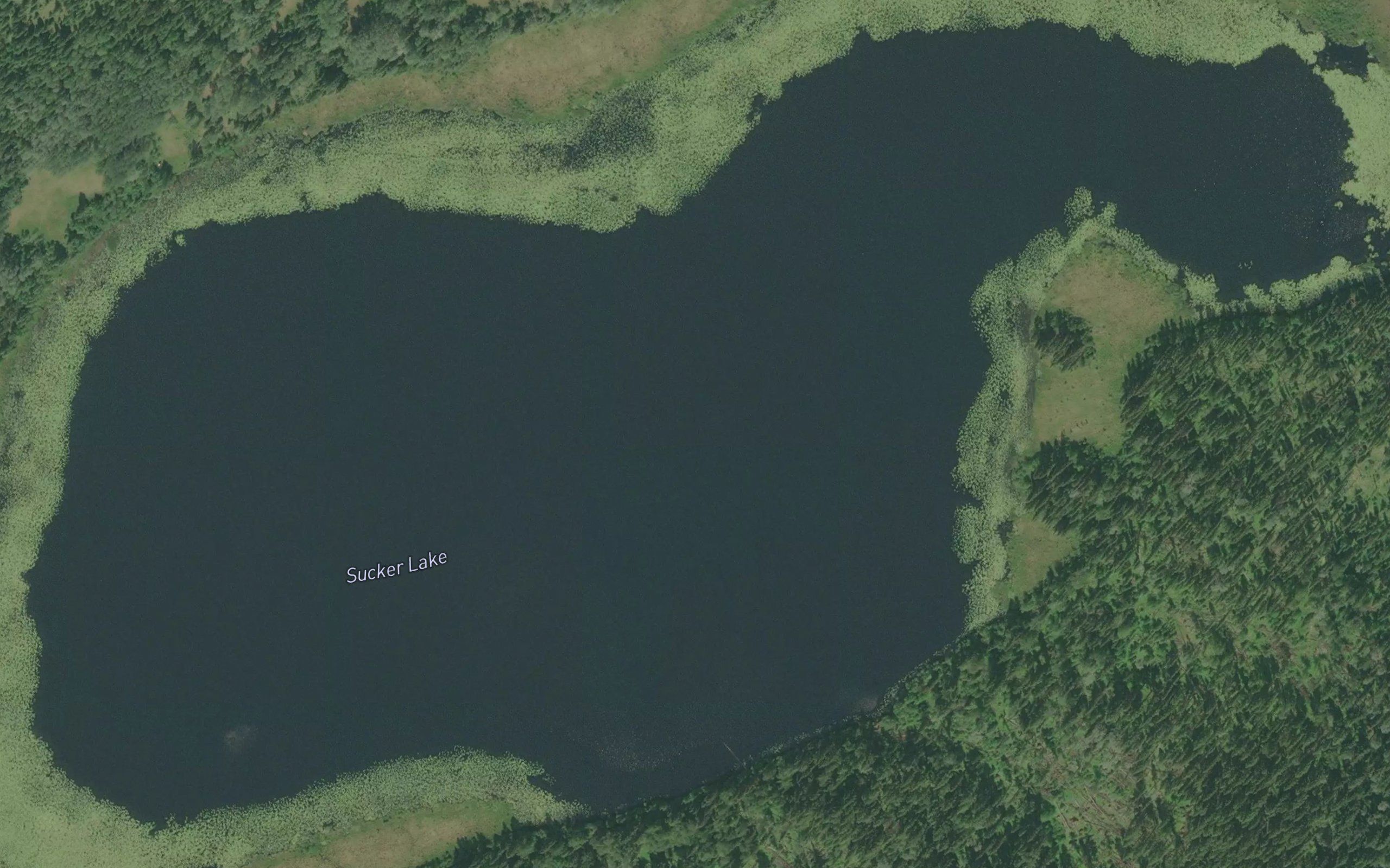 Sucker Lake