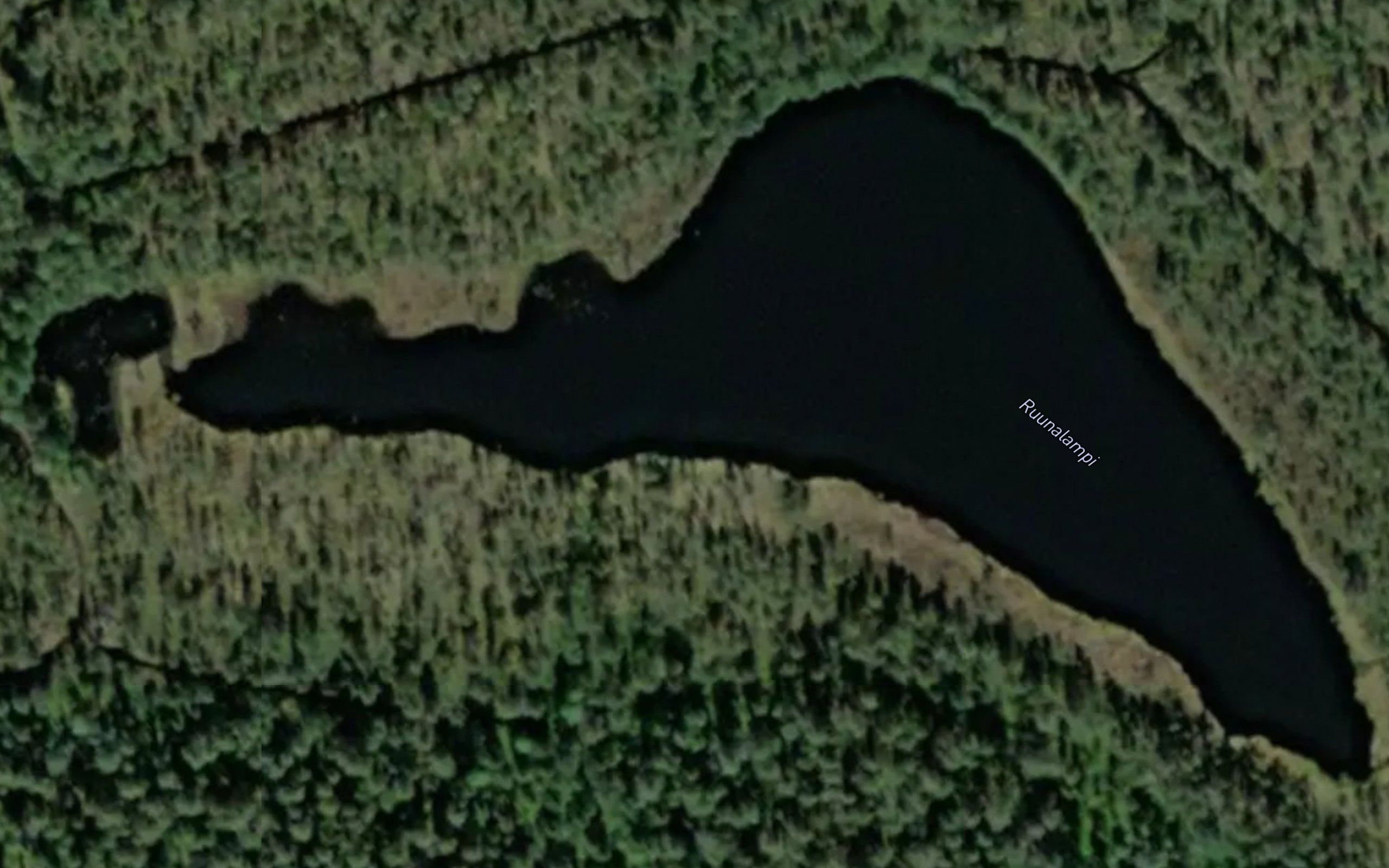 Ruunalampi