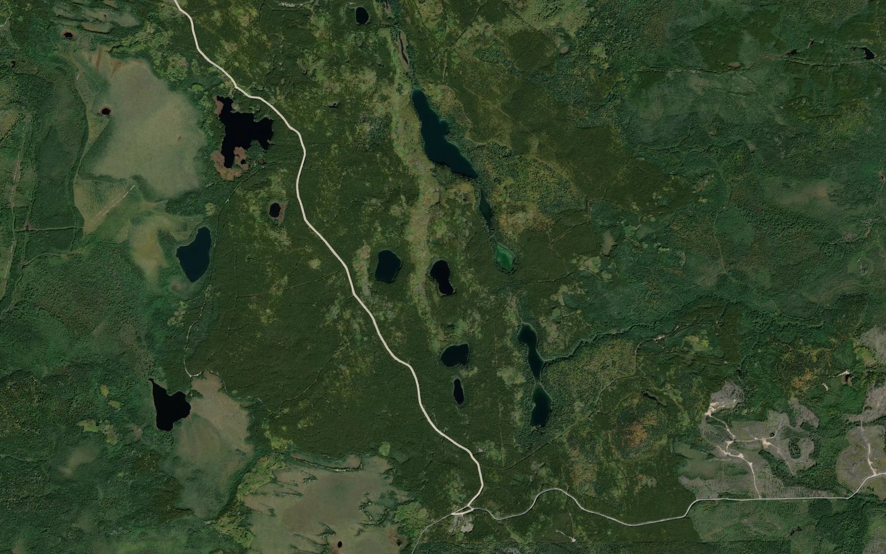 Satellite map of the Driscoll Lake