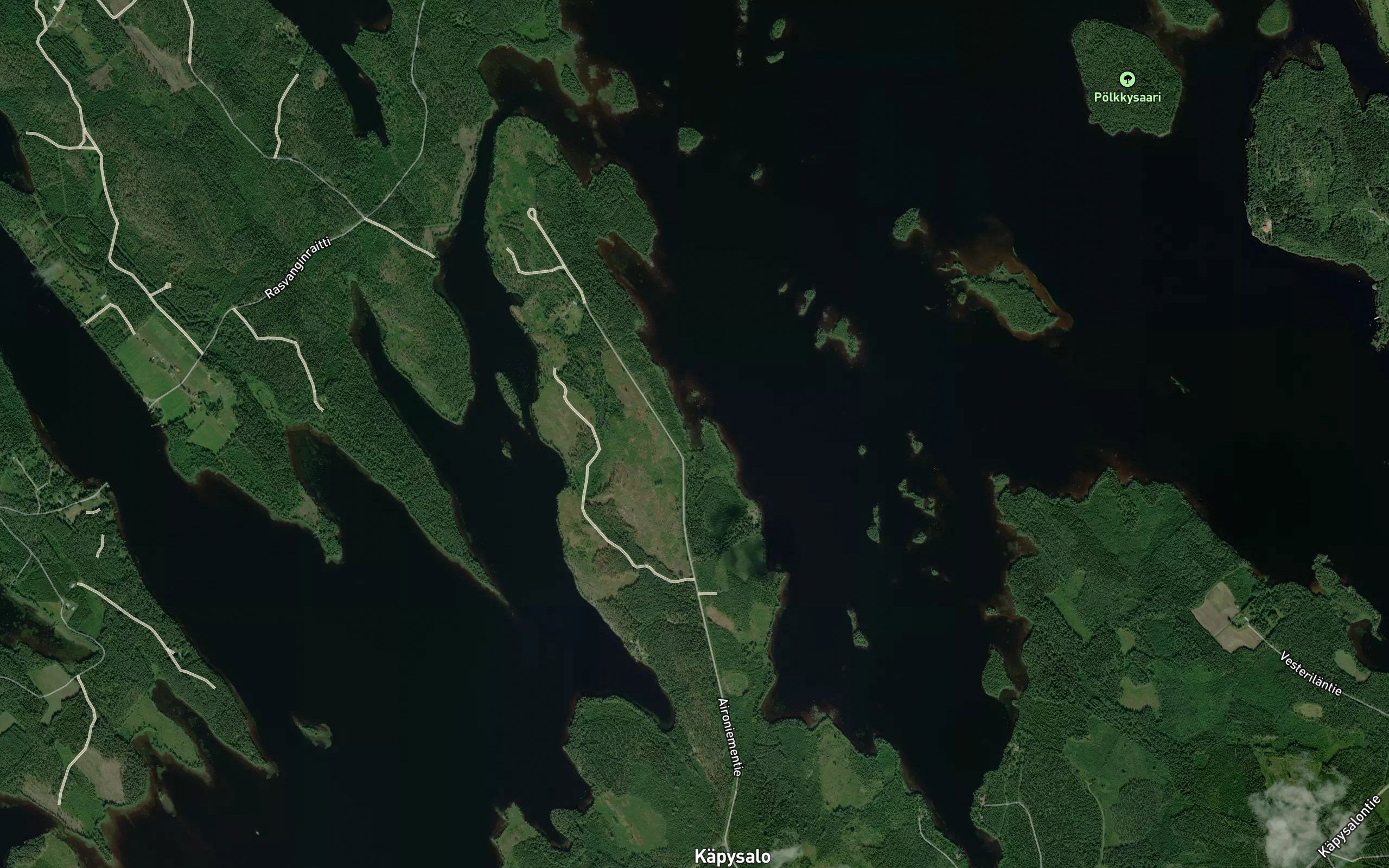 Saaskinlahti