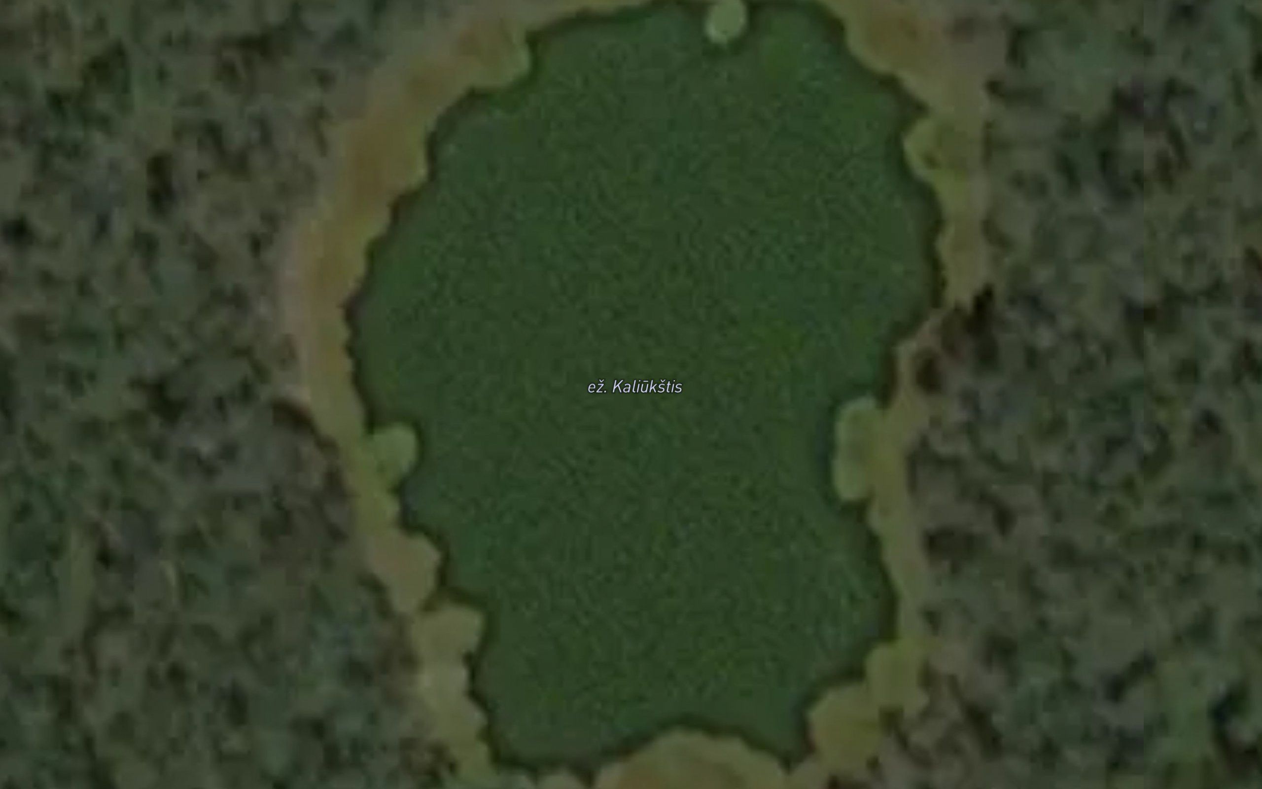 Ezeras Kaliukslis