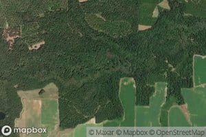Reedy Creek