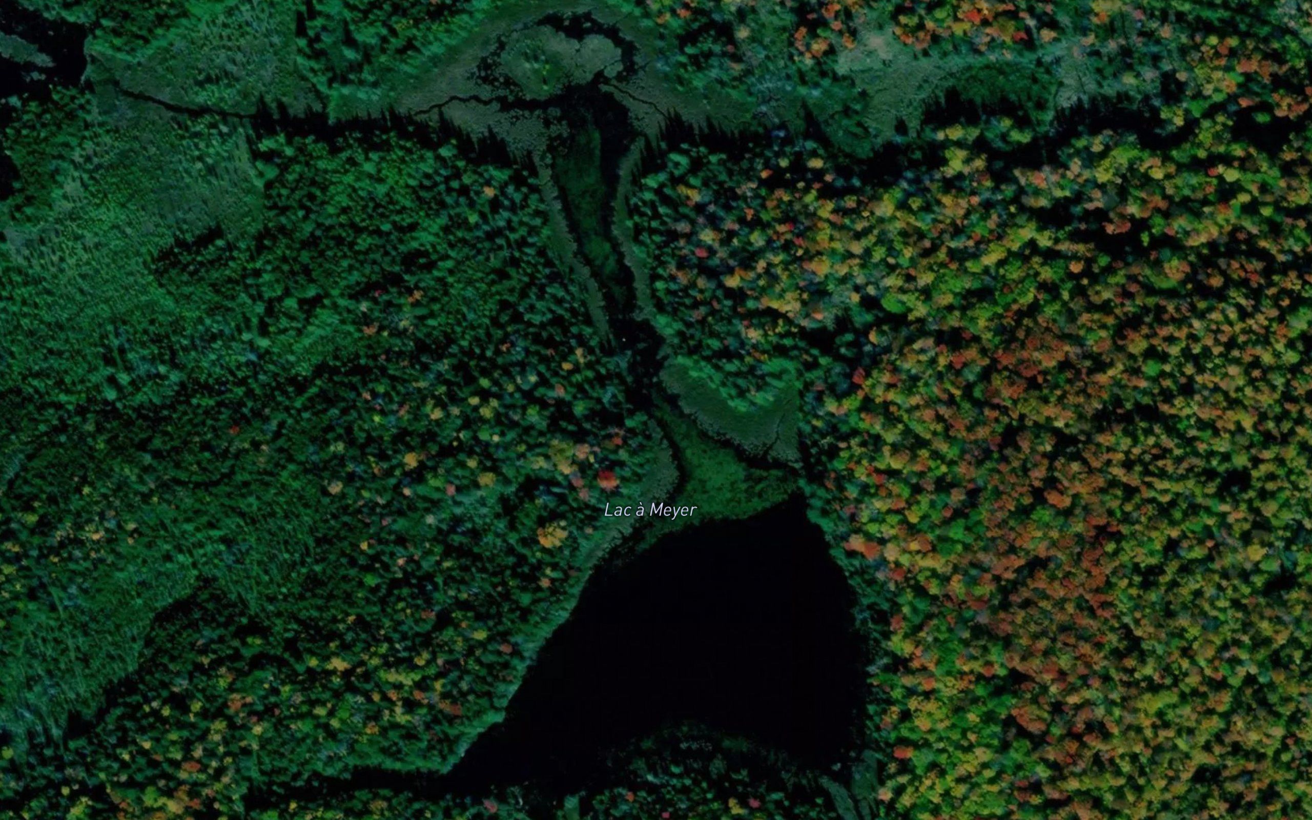 Lac a Meyer