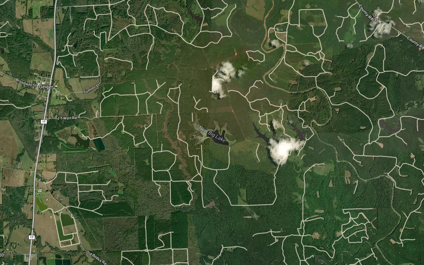Satellite map of the New Big Lake