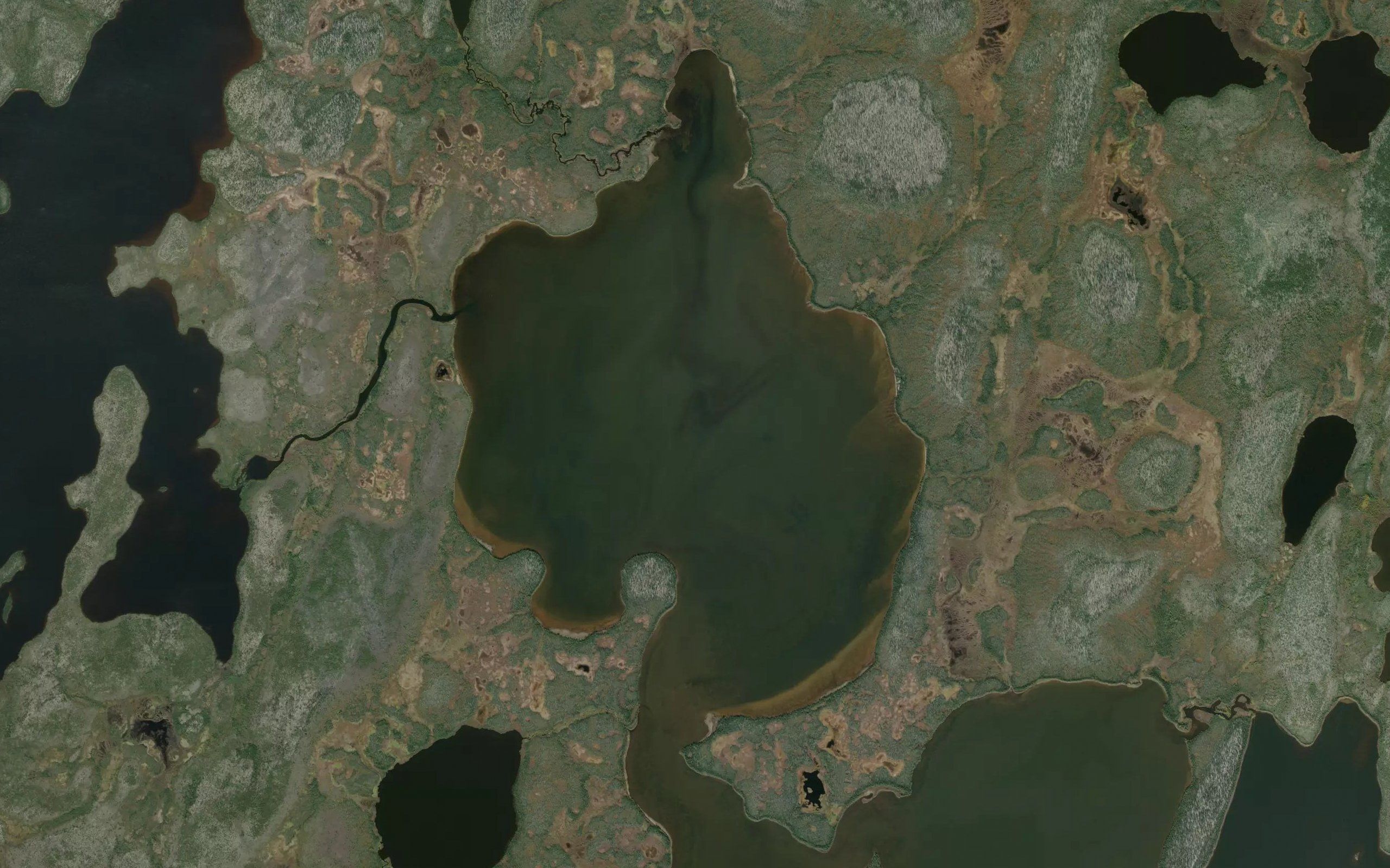 Peter Lake