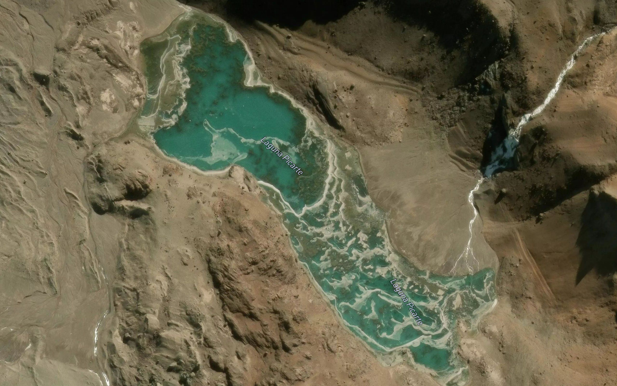Laguna Picarte
