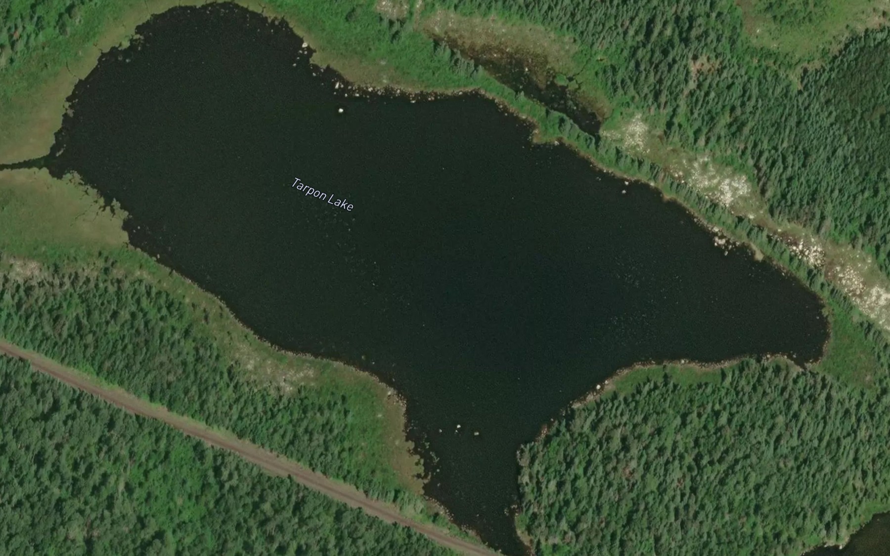 Satellite map of the Tarpon Lake