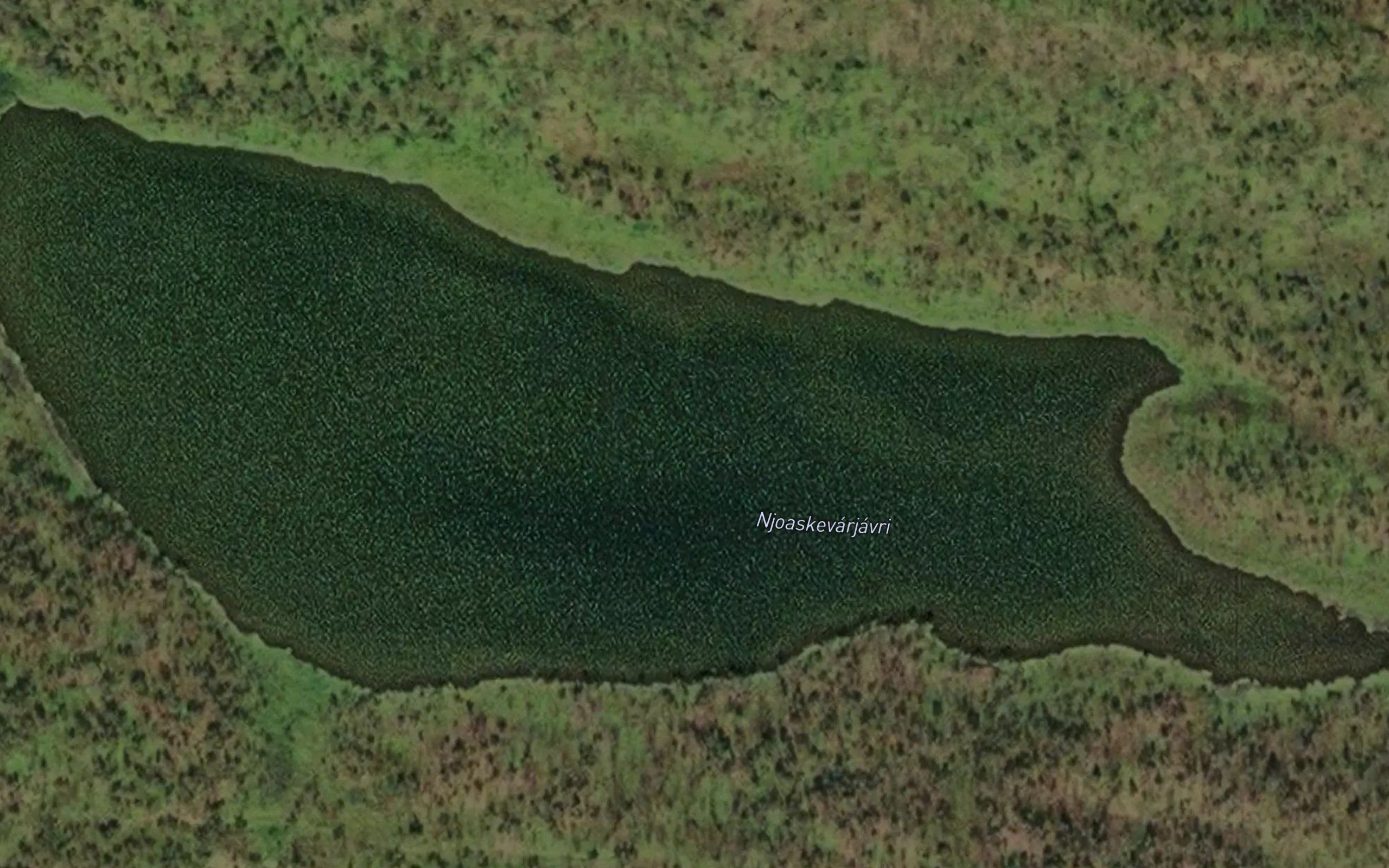Njoaskevarjavri