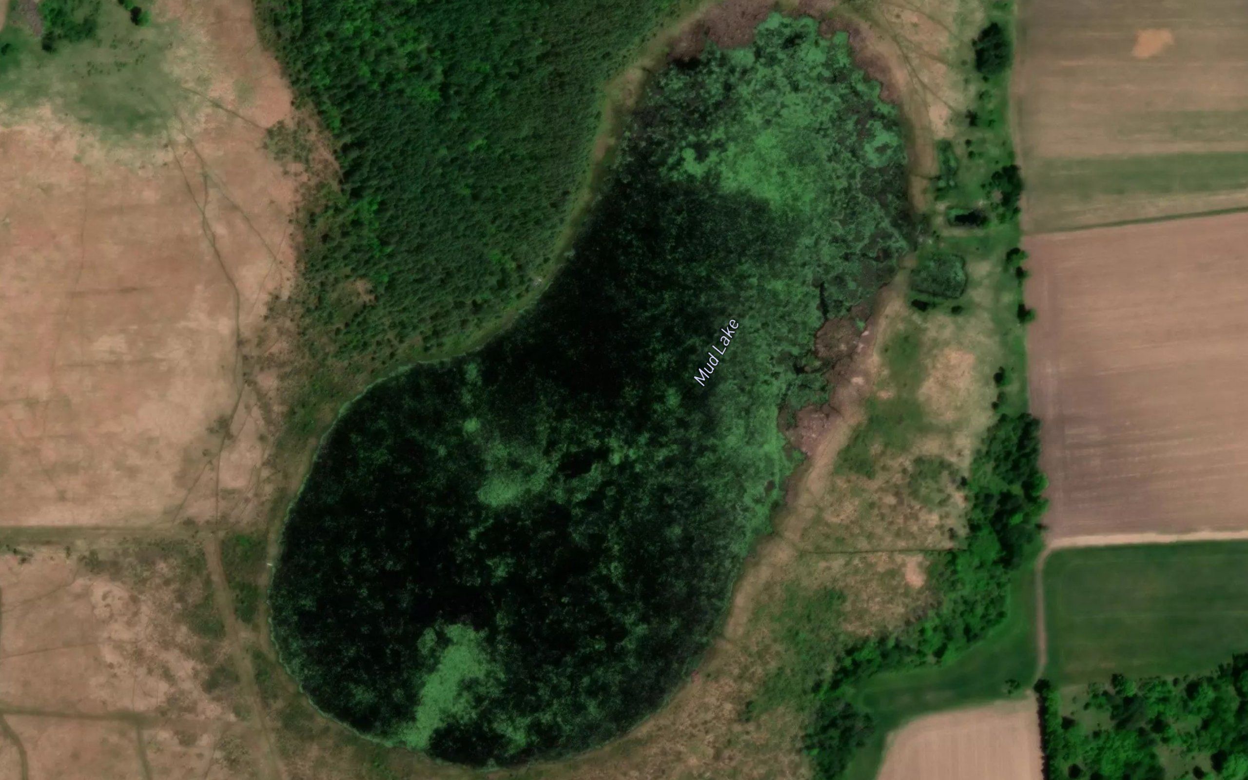 Mud Lake