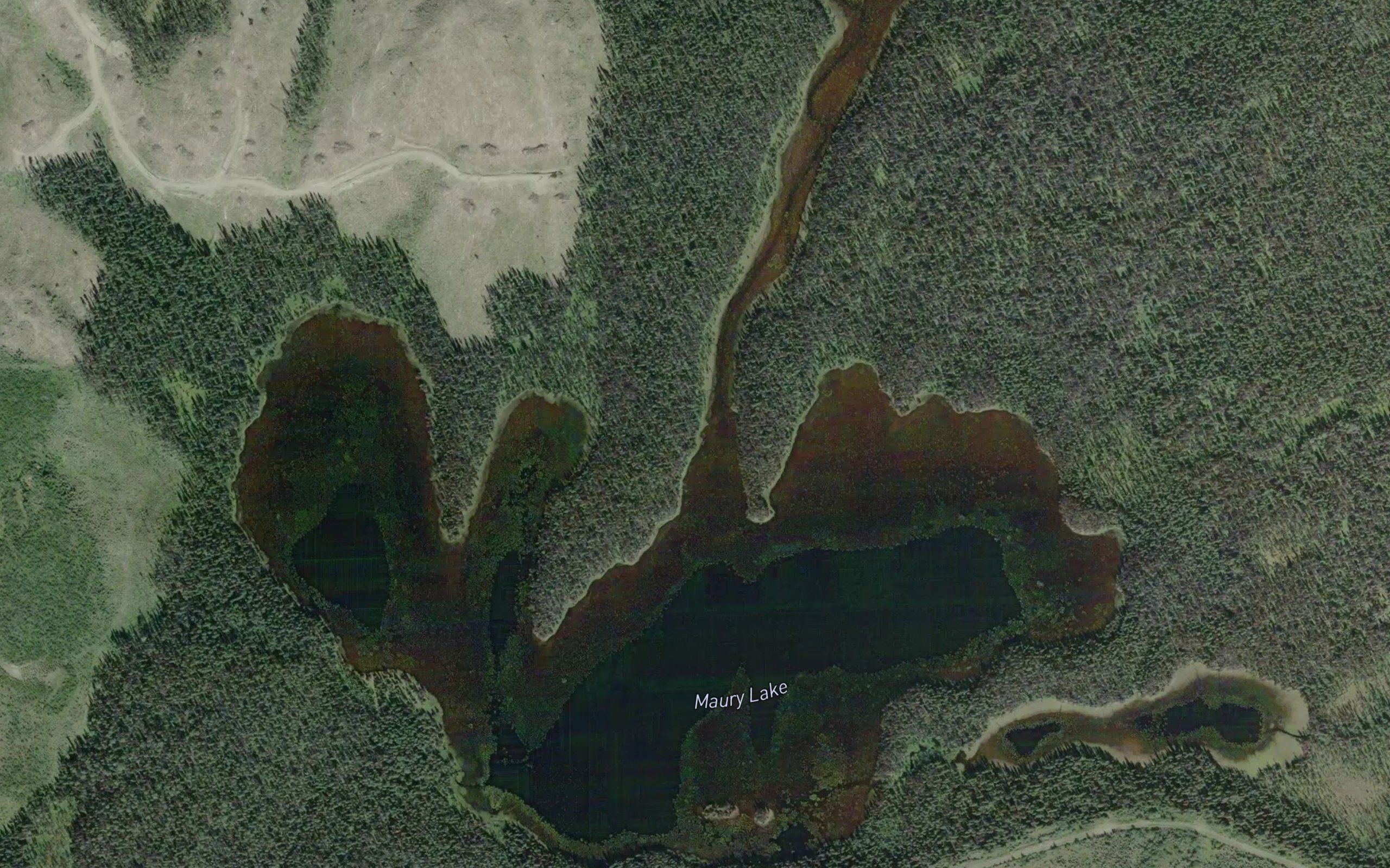 Maury Lake