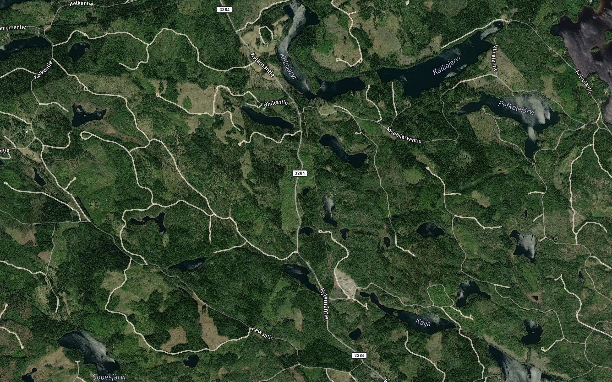 Pihtislammi