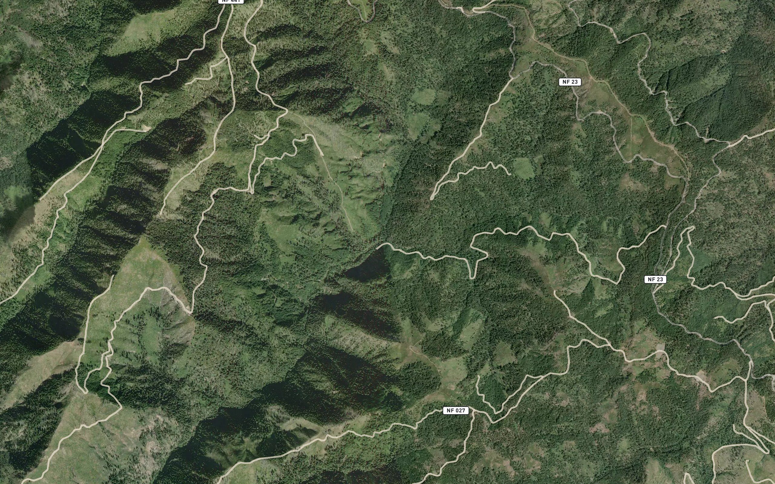Chief Creek