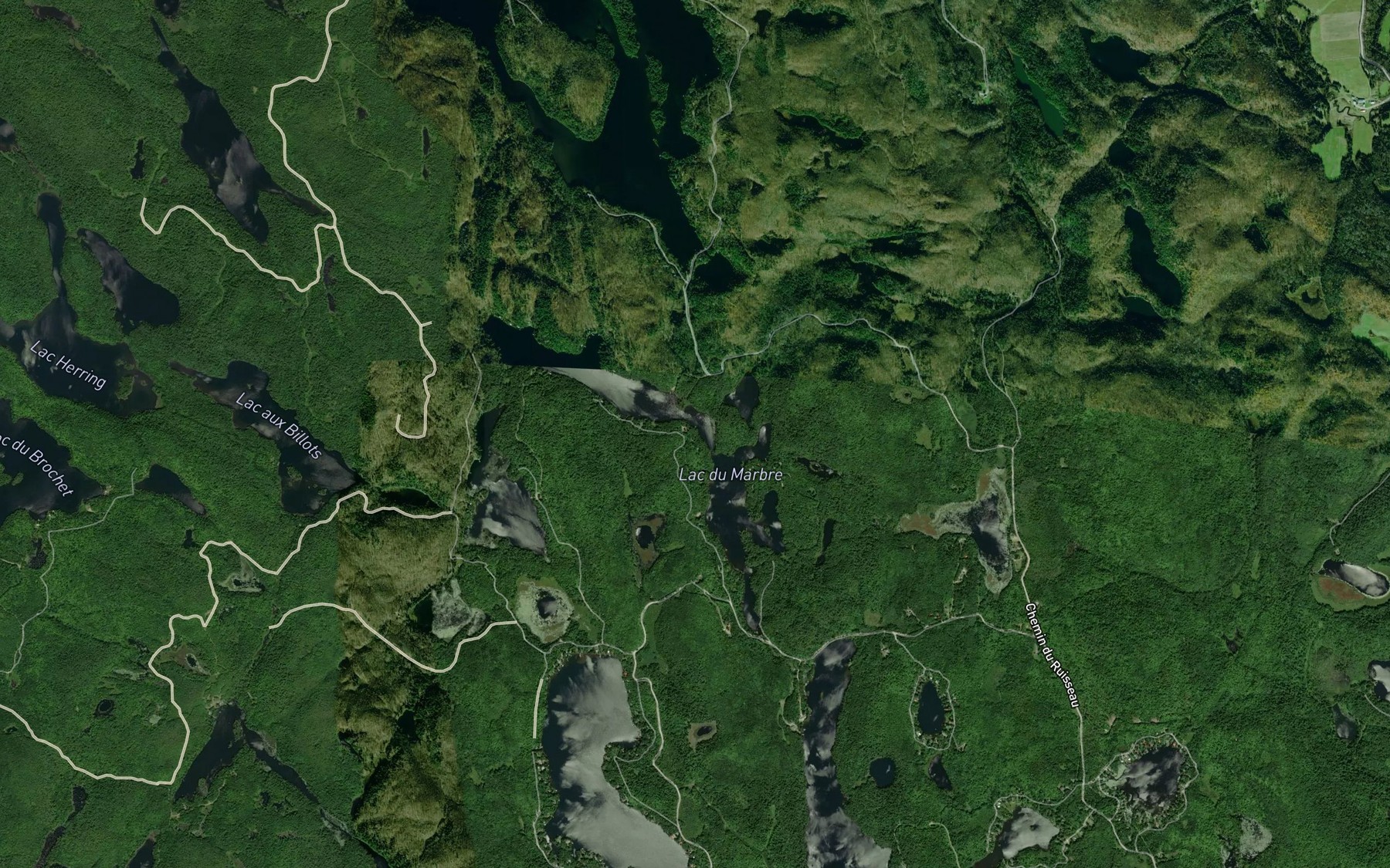 Satellite map of the Lac du Marbre
