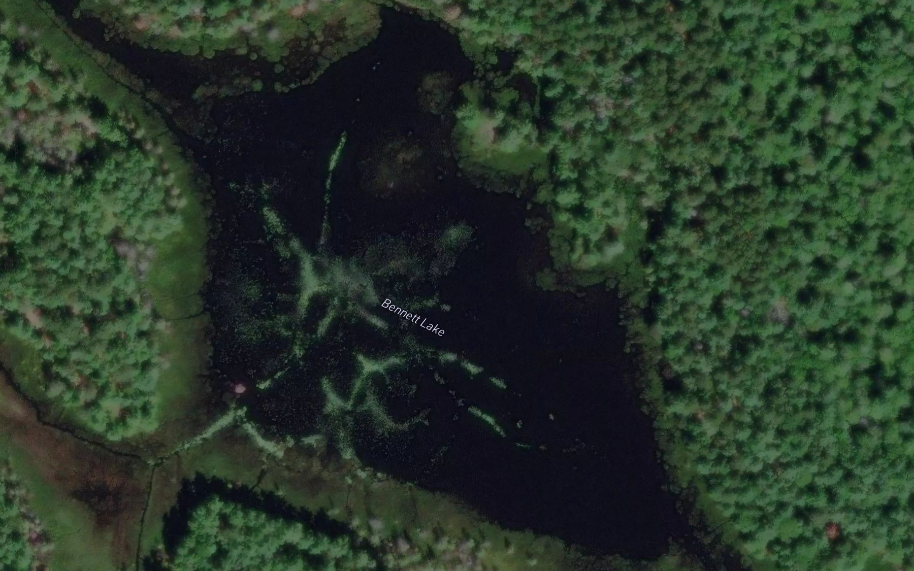 Satellite map of the Bennett Lake