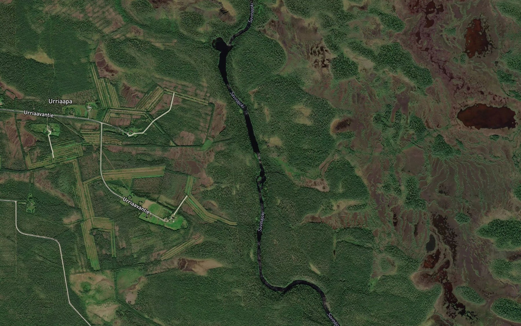 Satellite map of the Savinankongas
