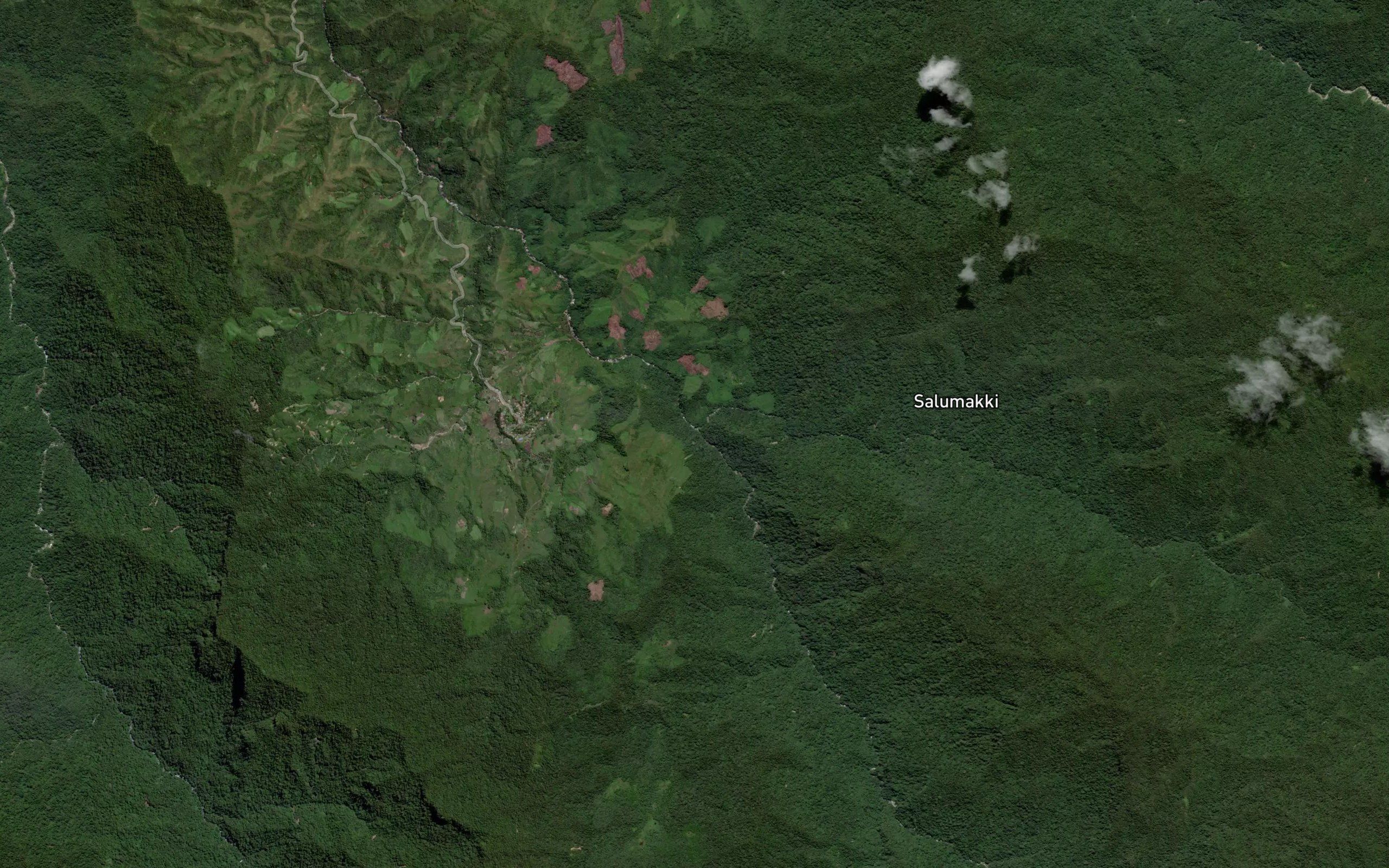 Salu Lambanan