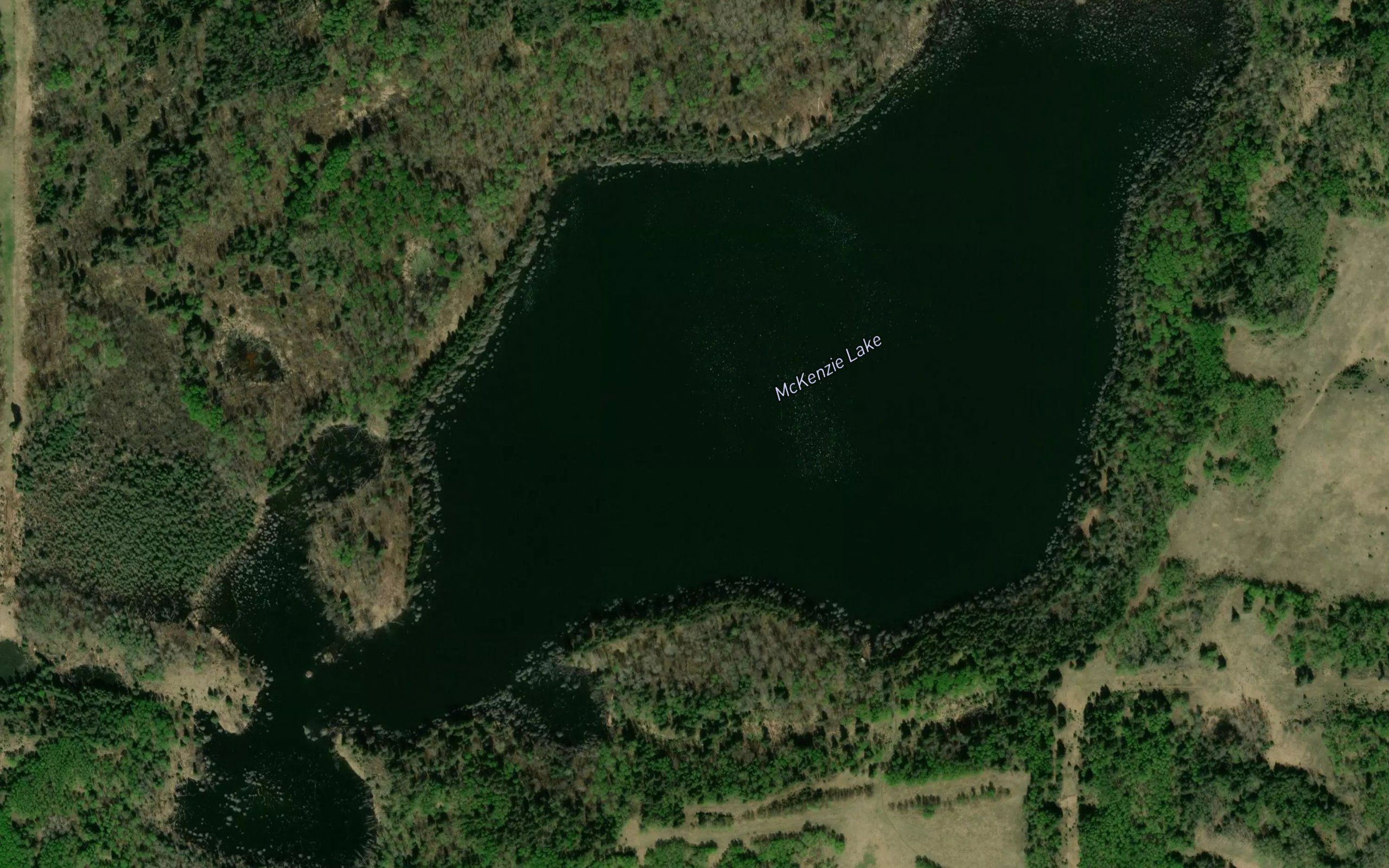 McKenzie Lake