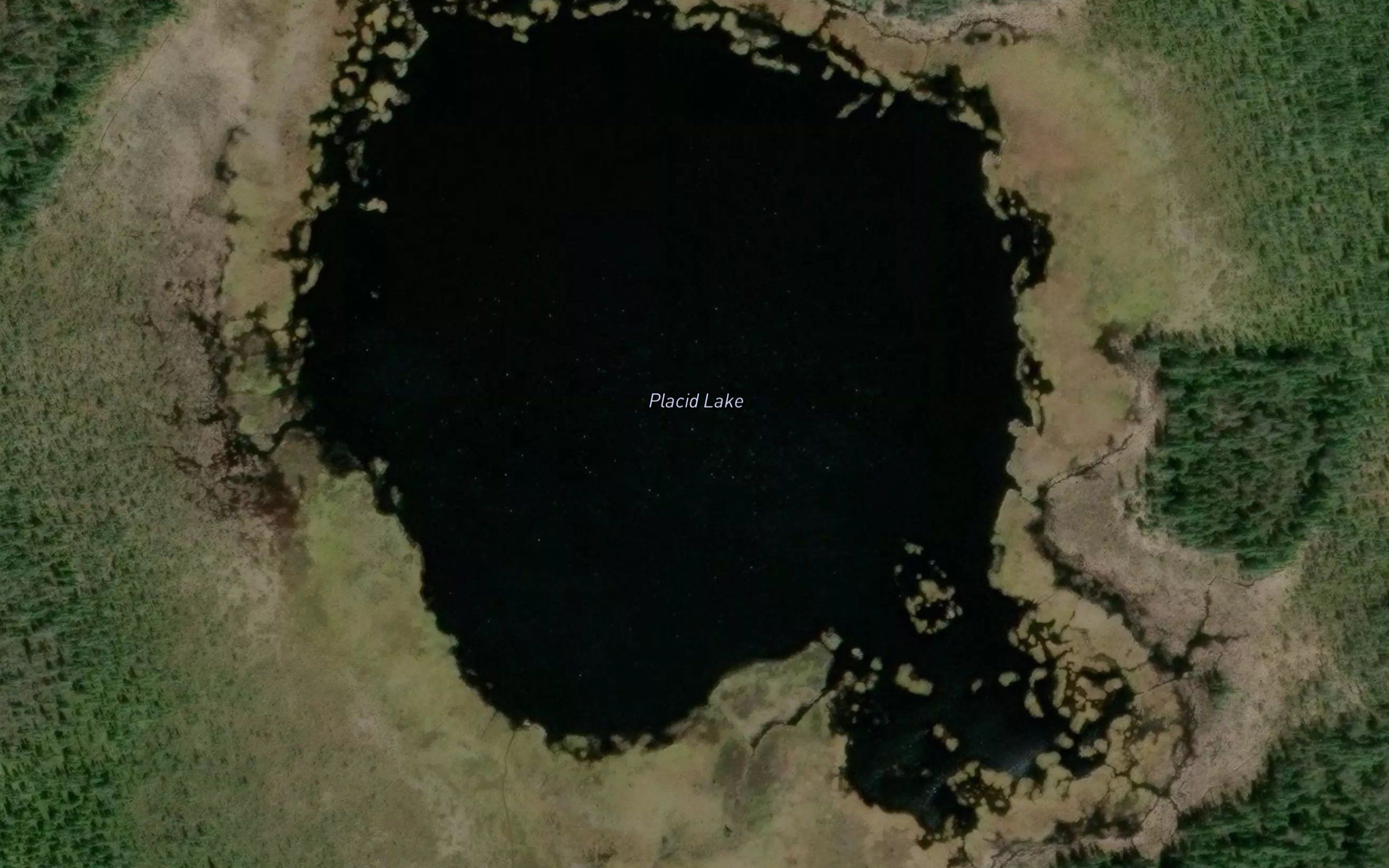 Placid Lake