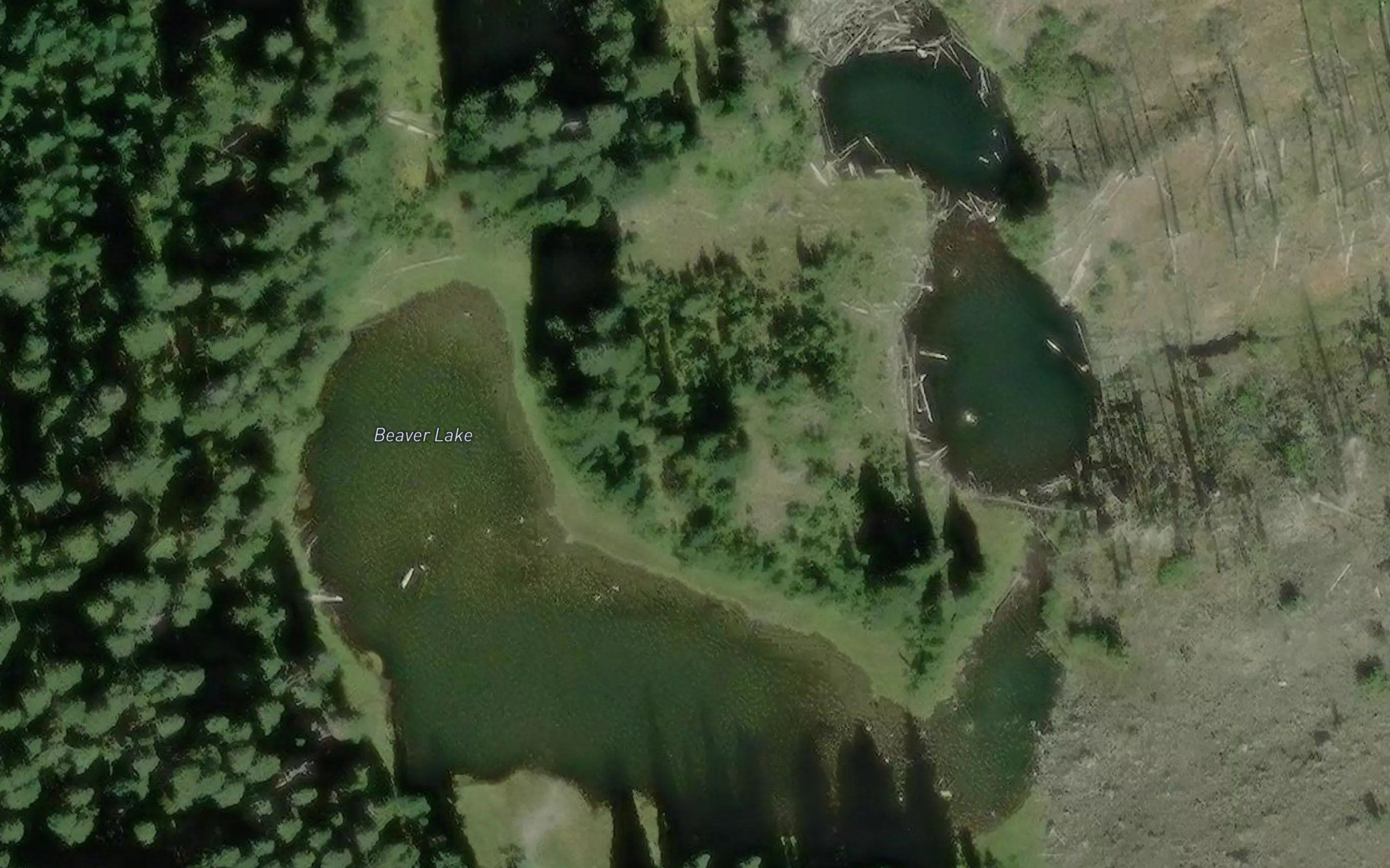 Beaver Lake