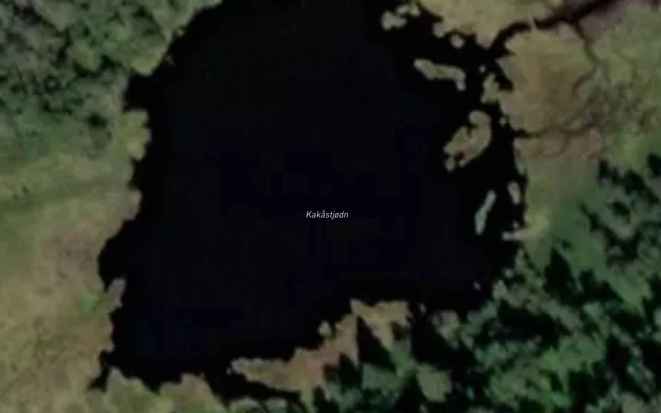 Kakastjodn