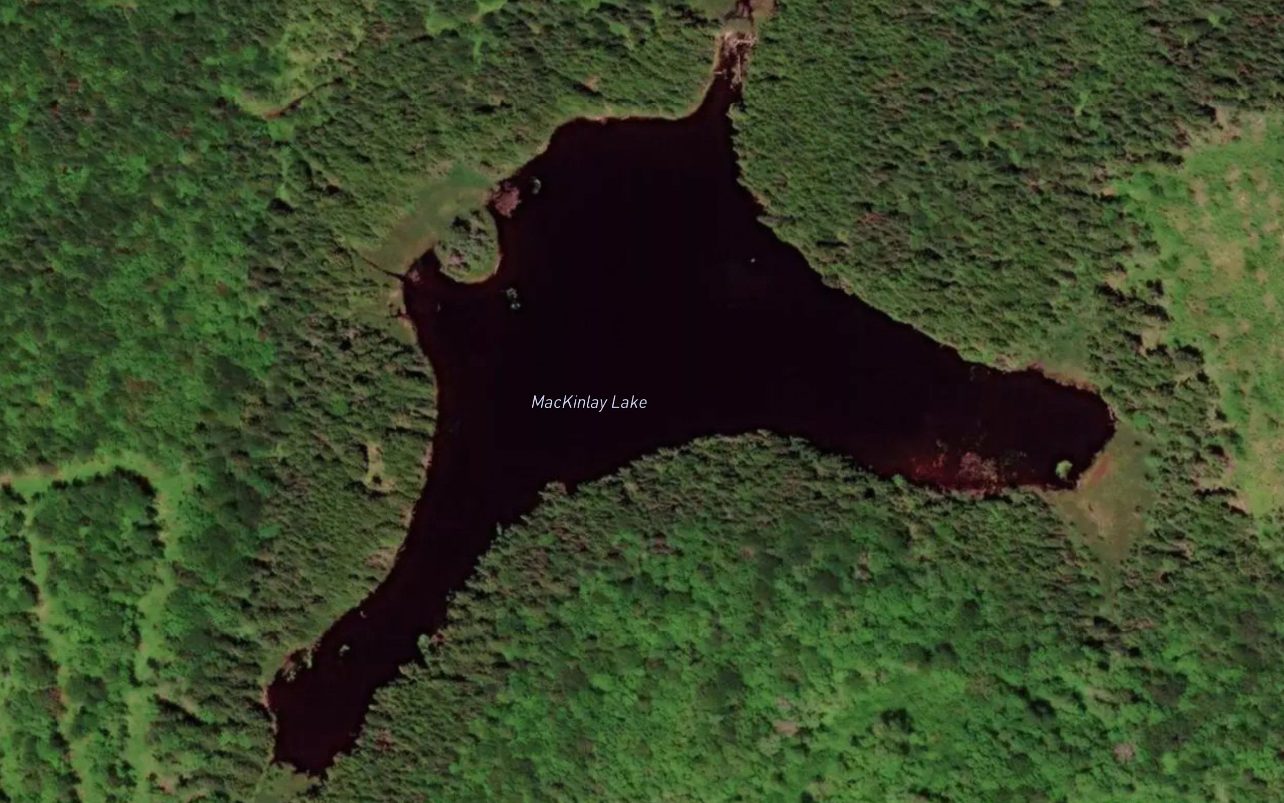 MacKinlay Lake