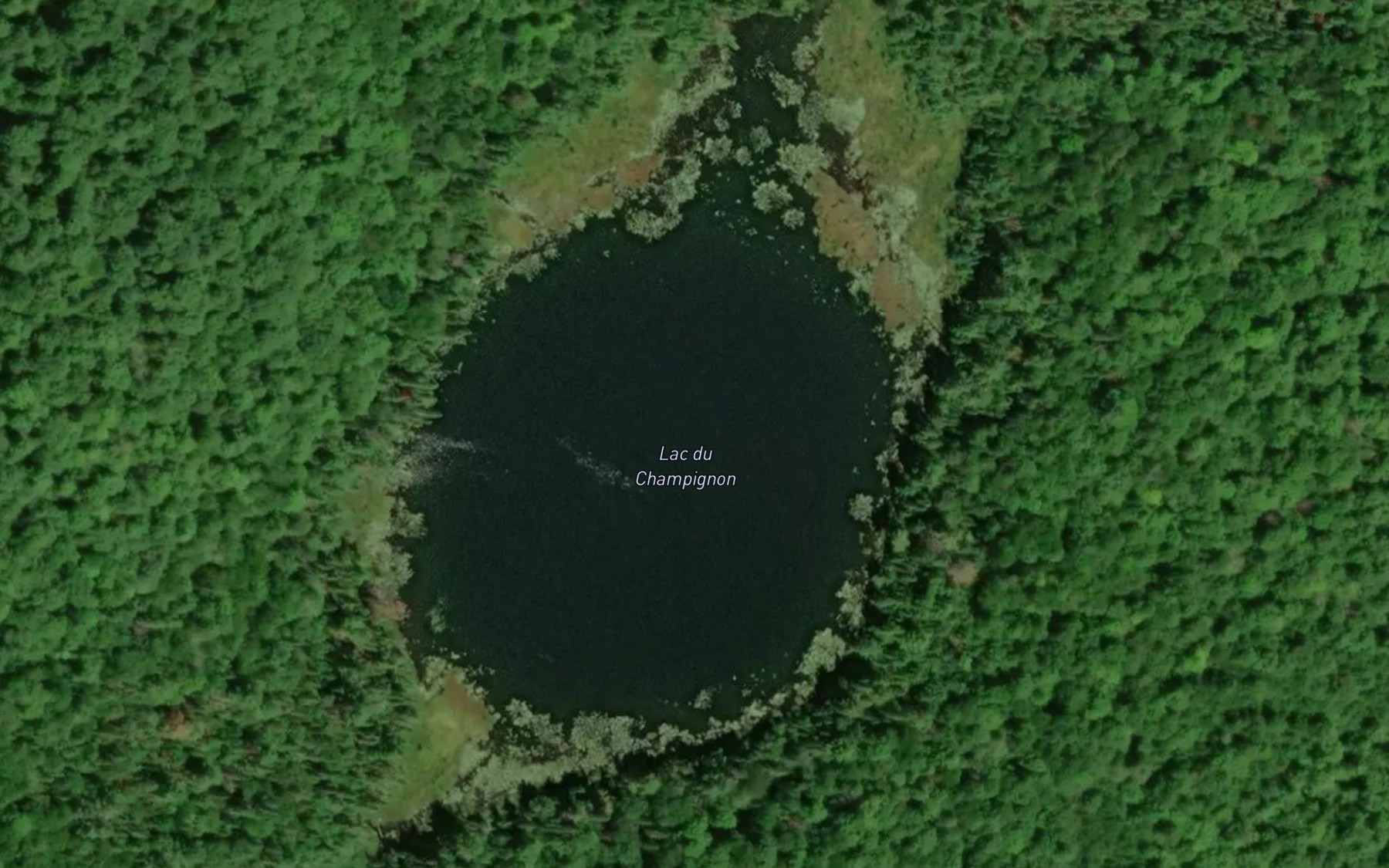 Satellite map of the Lac du Champignon